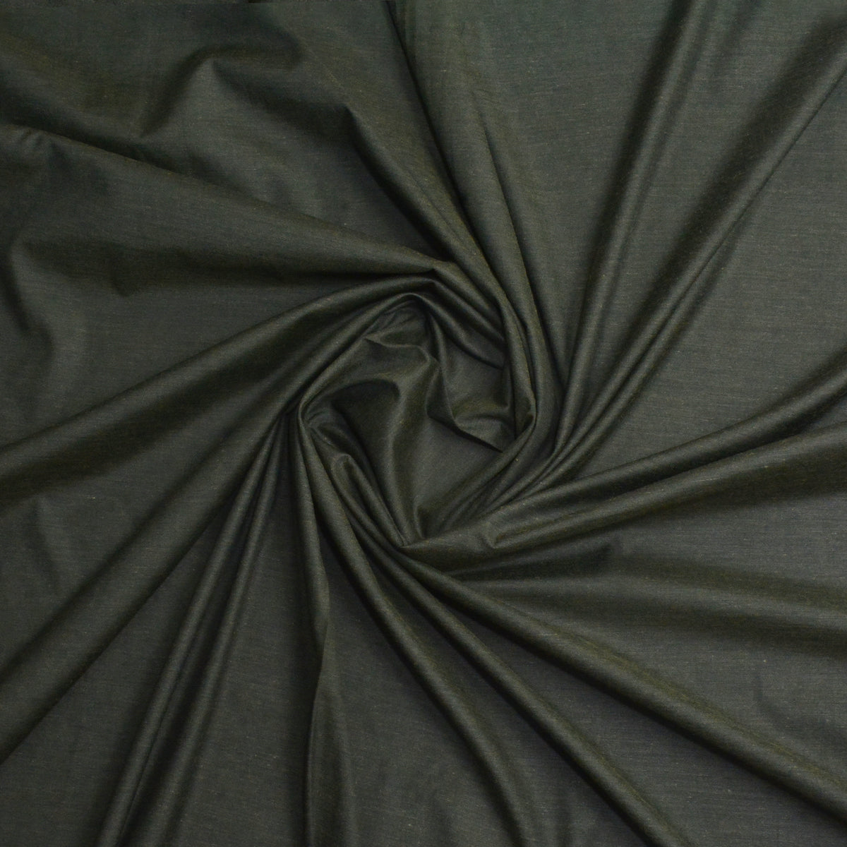 Olive Leaf